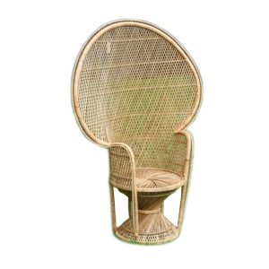 Peacock Chair