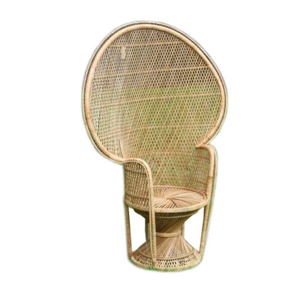 Peacock Chair