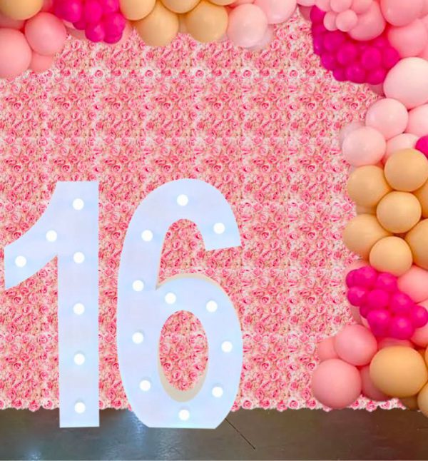 Number 16 - 4 ft marquee numbers - Image 4